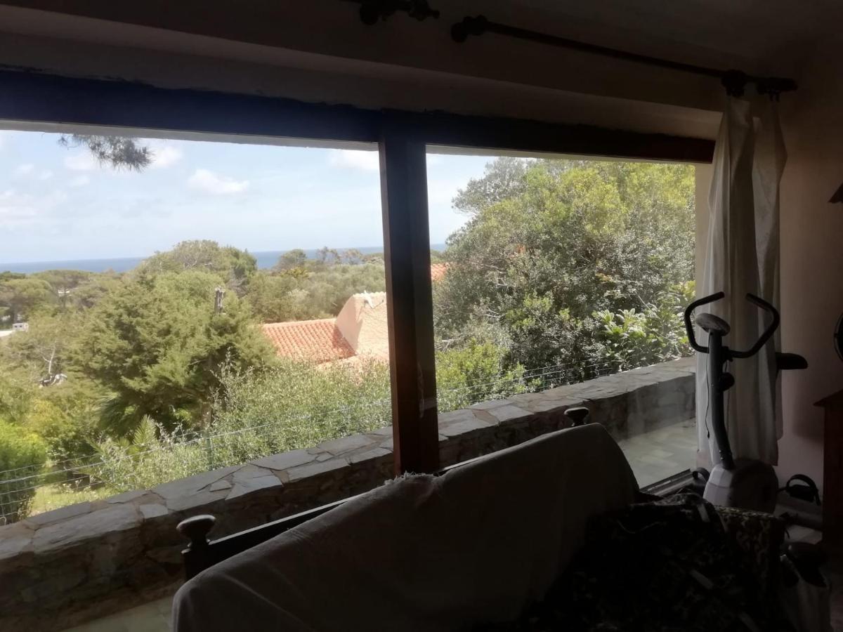 スティンティーノ Sa Domo De Afra Bed & Breakfast エクステリア 写真